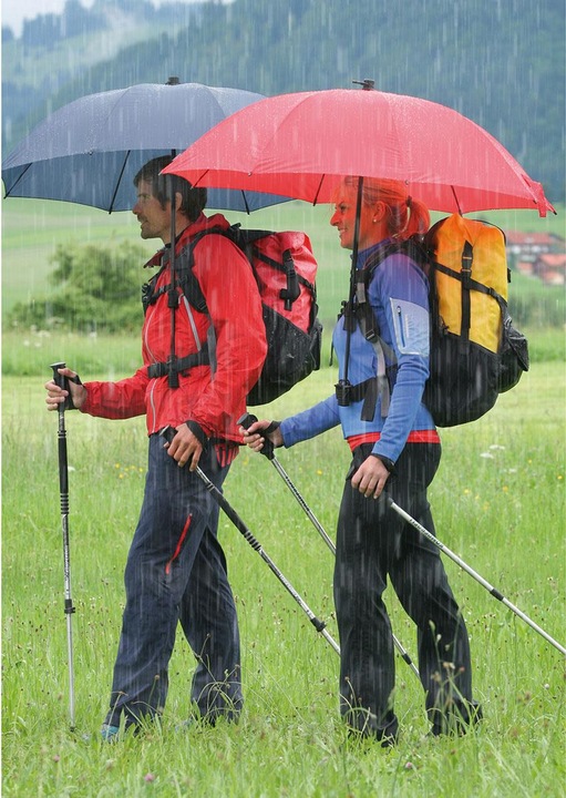 Actual product image Euroschirm Swing