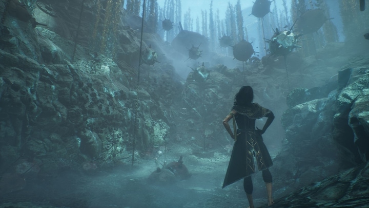 Image du produit Bandai Namco Clair Obscur: Expedition 33 (PS5, DE)