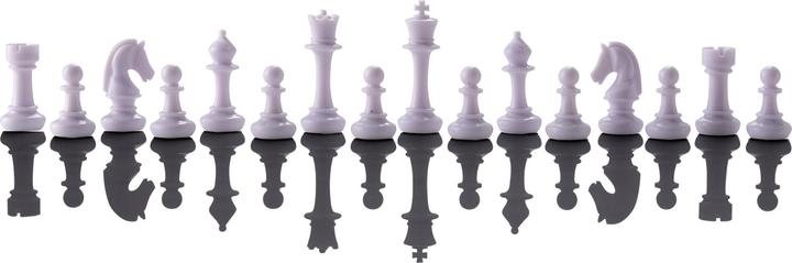 Actual product image Millennium Chess Genius Pro 2024