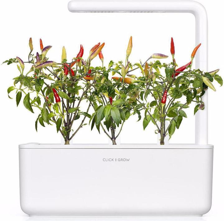 Image du produit Click and Grow Graines Piment rouge (Graines de légumes)