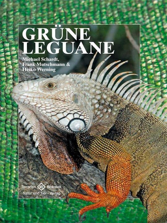 Produktbild Grüne Leguane (Deutsch, Heiko Werning, 2009)