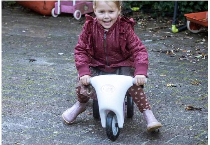 Image du produit dantoy Scooter rose