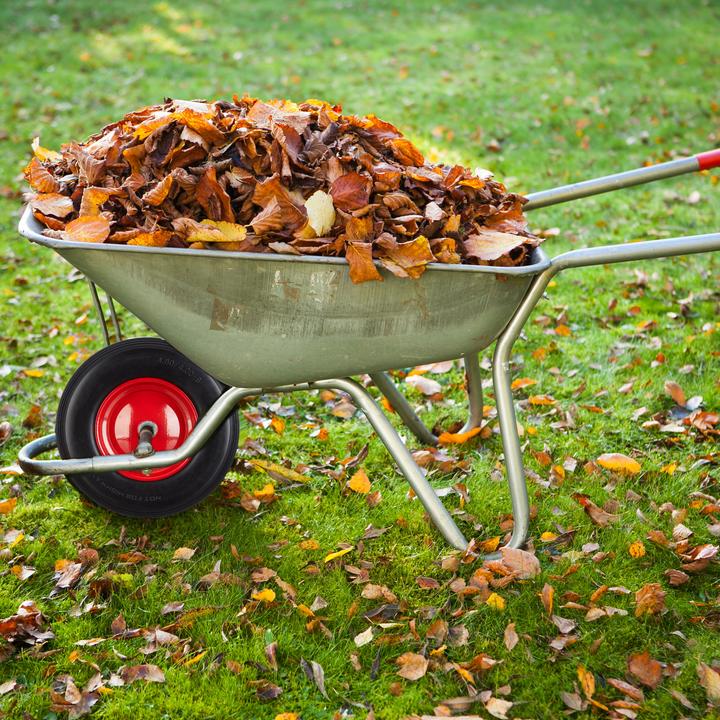 Productafbeelding Relaxdays Pneumatisch wiel