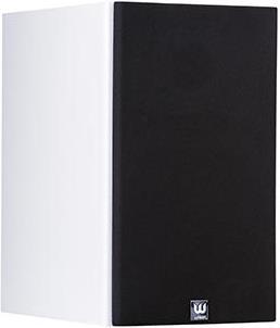 Actual product image Wilson Raptor 3 (1 pair)