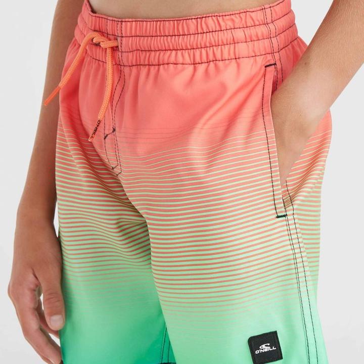 Produktbild O'Neill Jack Cali Gradient 14" Swim Shorts (152)
