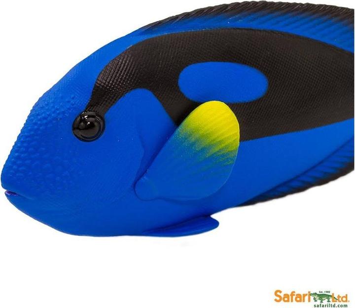Produktbild Safari Paletten-Doktorfisch