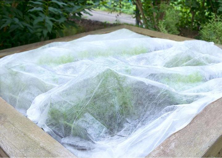 Produktbild Royal Gardineer 4er-Set Frostschutz-Gartenvlies für Mikroklima, je 10 x 1,6 m, 17 GSM