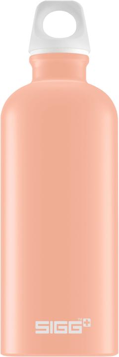 Actual product image Sigg Traveller (0.60 l)