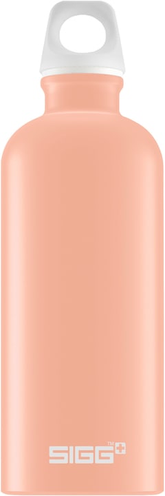 Produktbild Sigg Traveller (0.60 l)