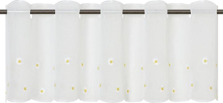 Produktbild Lipo Bellis (45 x 145 cm)