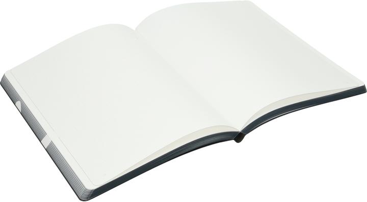 Actual product image Nuuna Graphic L, Holy Shit (22 x 16.5 cm, Dotted, Soft cover)