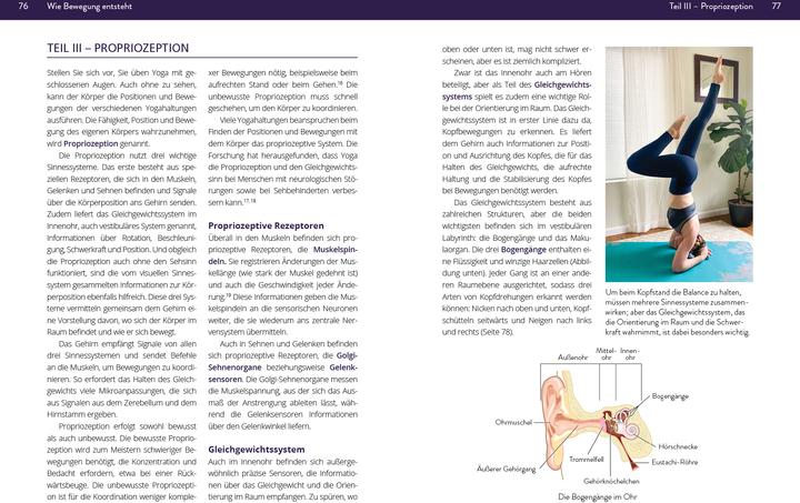 Produktbild Fair:Die Neurowissenschaft hinter Yoga (Deutsch, Brittany Fair, 2024)