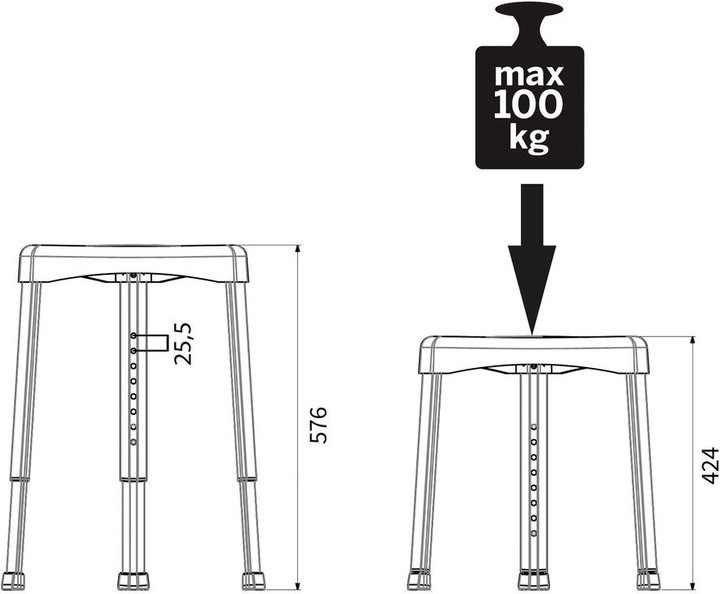 Actual product image Tiger Libra (100 kg)
