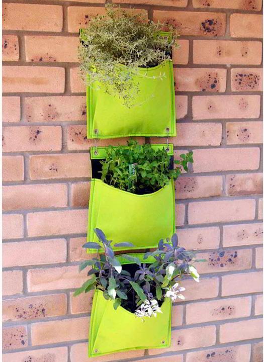 Immagine prodotto VegTrug Parete vivente