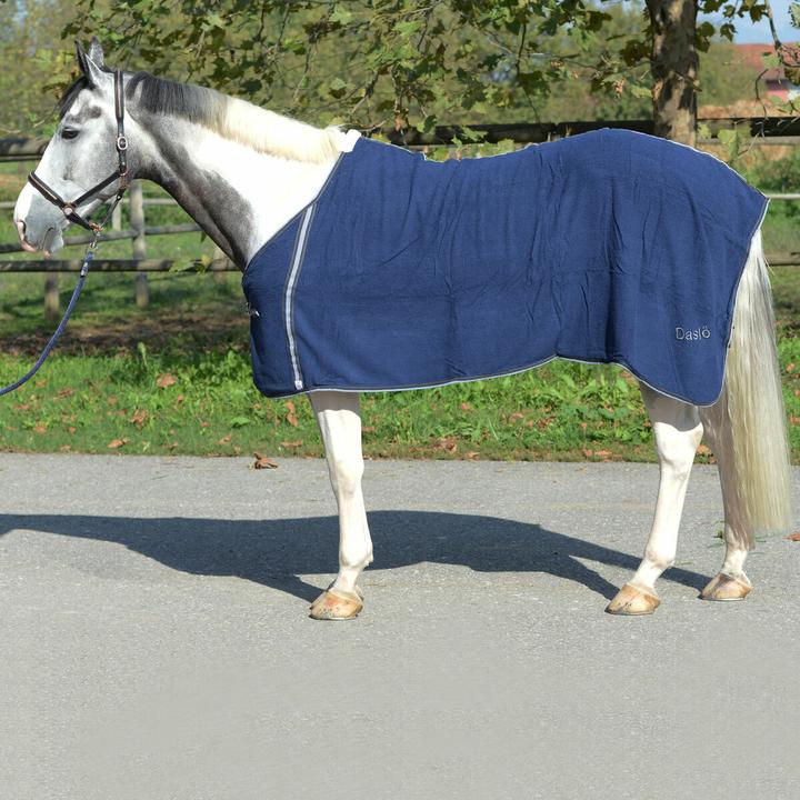 Image du produit Daslö Chemise pour cheval en éponge