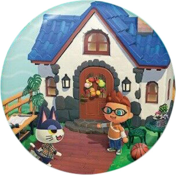 Actual product image Animal Crossing Pin set 5-pack metal