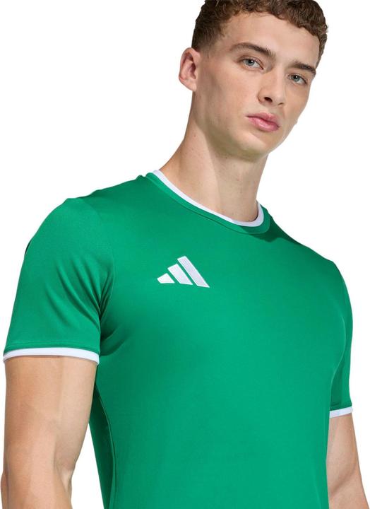 Actual product image Adidas Entrada T-Shirt (M)