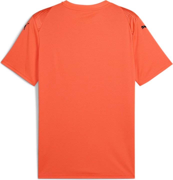 Image du produit Puma teamULTIMATE Jersey (XL)