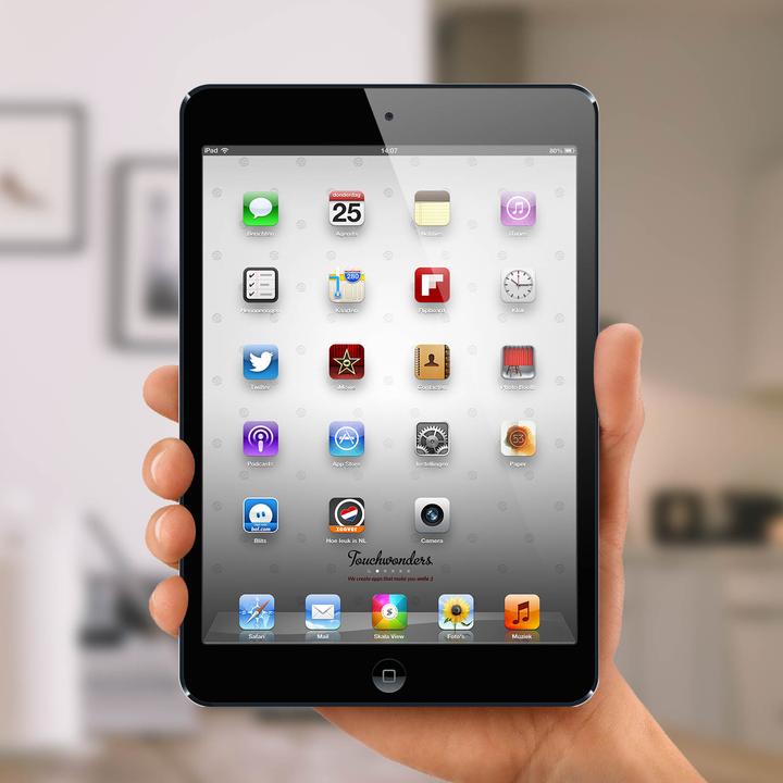 Actual product image Avizar Spare part (Display, IPad Mini 2)