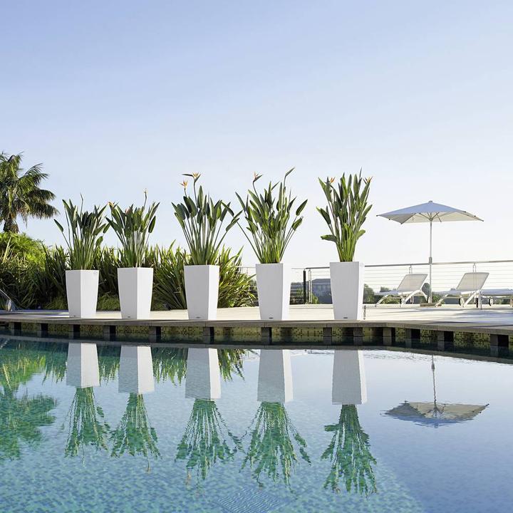 Immagine prodotto Lechuza Cubico Cottage (29.50 cm)