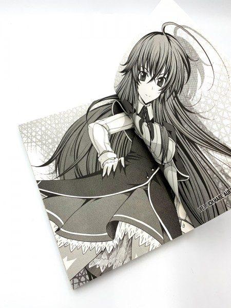 Produktbild Panini HighSchool DxD 01 (Deutsch, Hiroji Mishima, Ichiei Ishibumi, 2013)