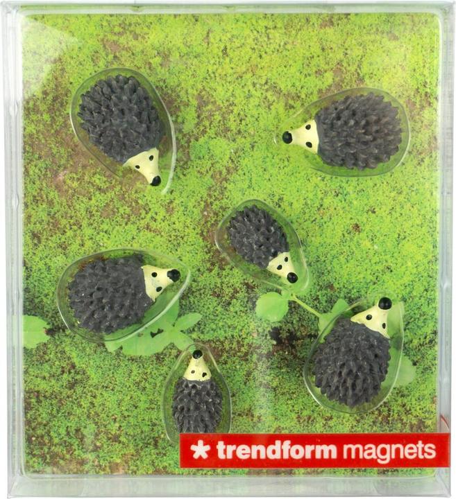 Immagine prodotto Trendform Riccio (6 x)