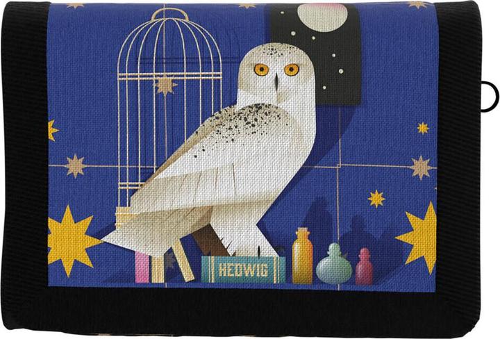 Actual product image CyP Brands Harry Potter pack wallet + keychain