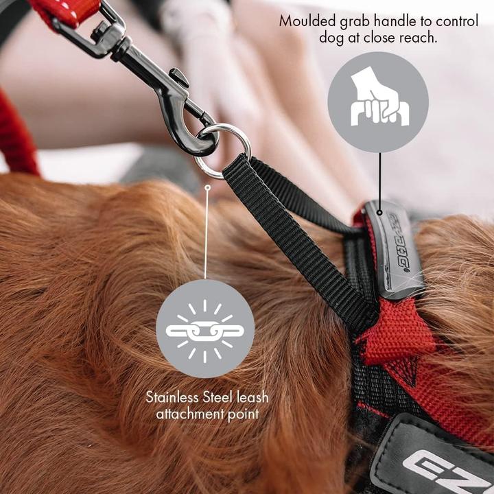 Actual product image EzyDog Express Harness (M, Dog)