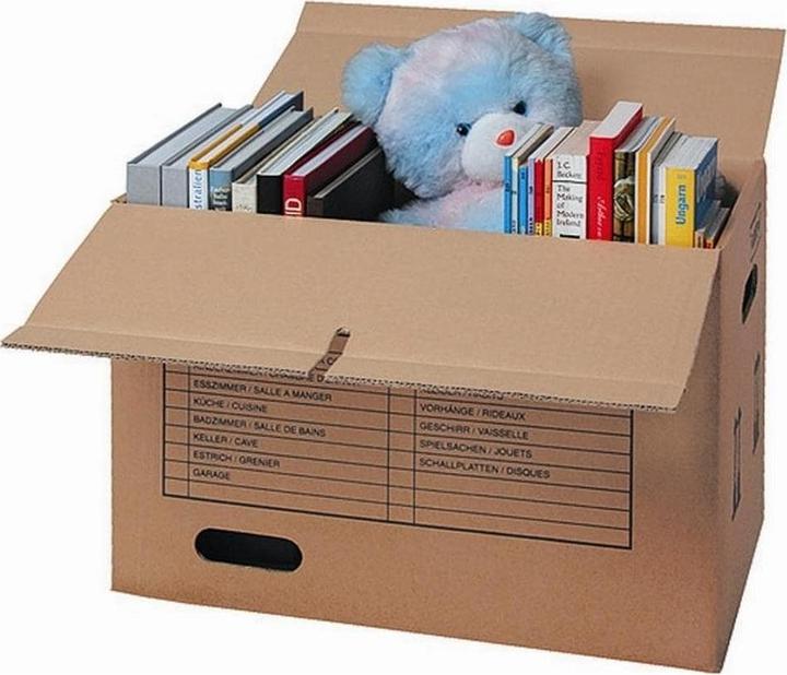 Actual product image Brieger Removal box (57 cm, 77 l, 1x)