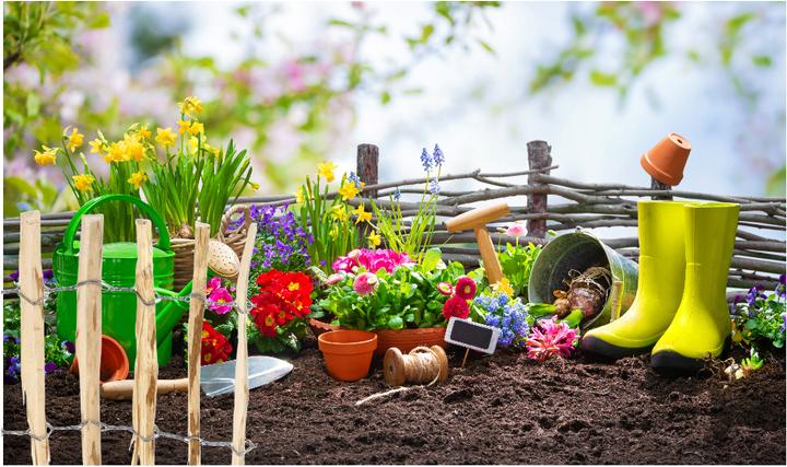 Actual product image Natura Punto Bed edging