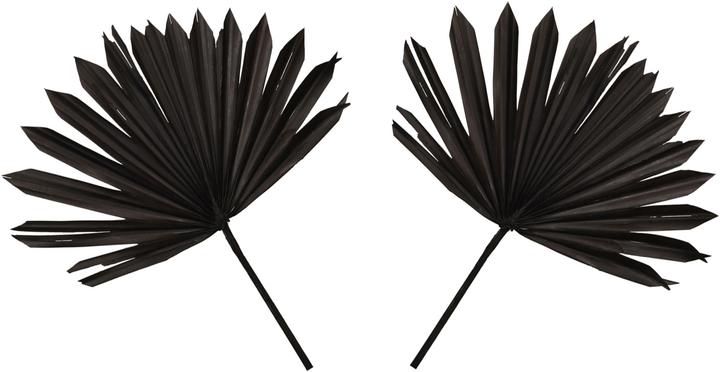 Schwarz