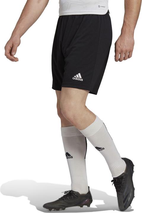 Produktbild adidas Entrada (M)