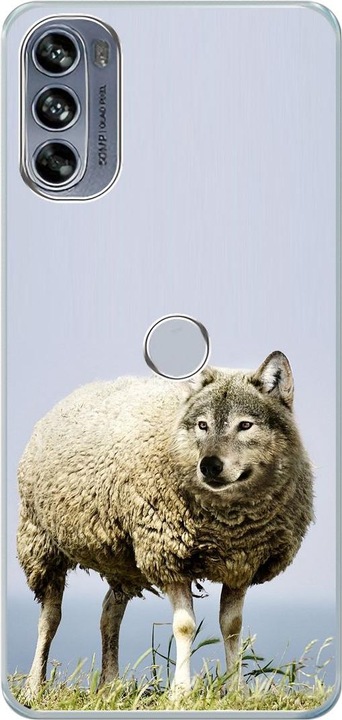 Wolf im Schafspelz