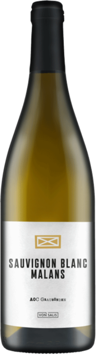 Immagine prodotto Von Salis Malans Sauvignon Blanc (1 x 75 cl, 2017)