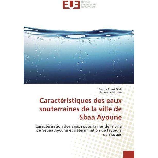 Caractéristiques des eaux souterraines de la ville de Sbaa Ayoune, Fachbücher von Fouzia Rhazi Filali, Jaouad Zerhouni