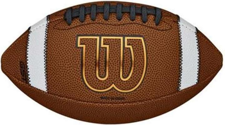 Actual product image Wilson GST Official Composite