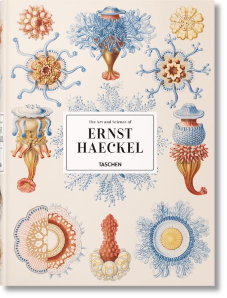 Produktbild The Art and Science of Ernst Haeckel (Deutsch, Julia Voss, Rainer Willmann, 2017)