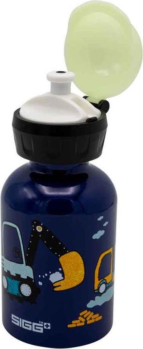 Actual product image Sigg Bottles (0.30 l)