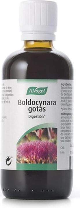 Actual product image A. Vogel Boldocynara 100ml (100 ml)