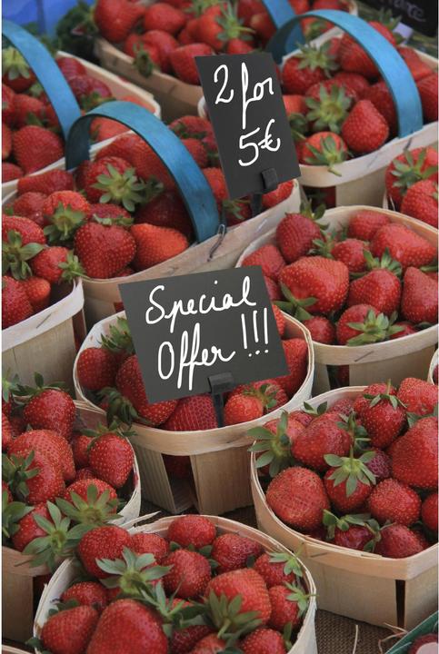 Produktbild Securit Ersatz-Stecker A4-A8 Set à 20 Stk.