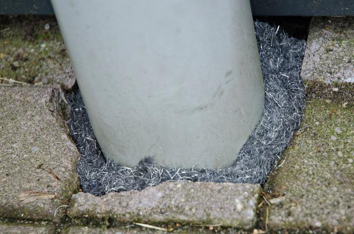 Actual product image Knock Off Rat/mouse defence tape