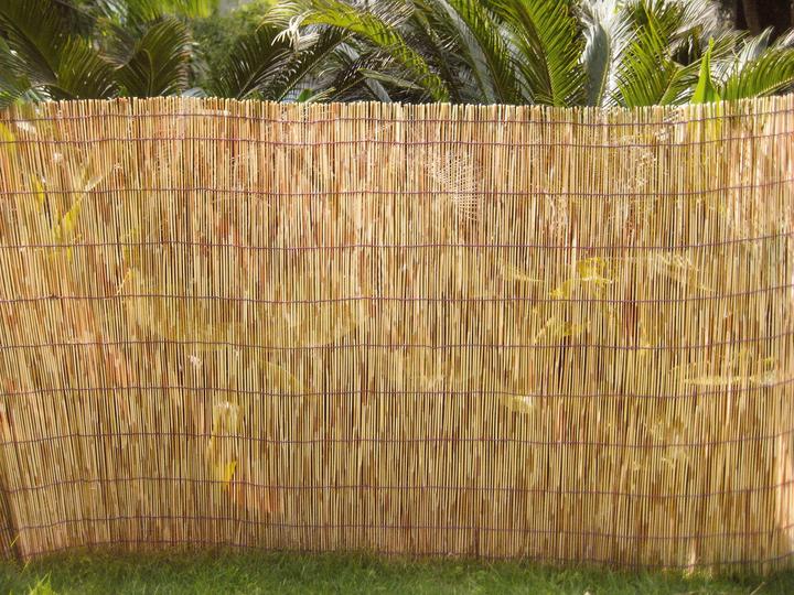 Produktbild Do it + Garden Schilfrohrmatte (500 cm)