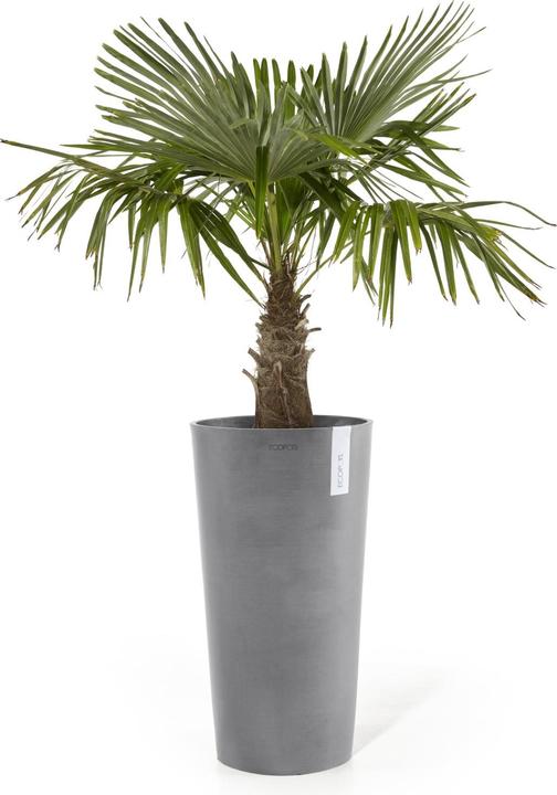 Actual product image Ecopots Amsterdam hoch (76 cm)
