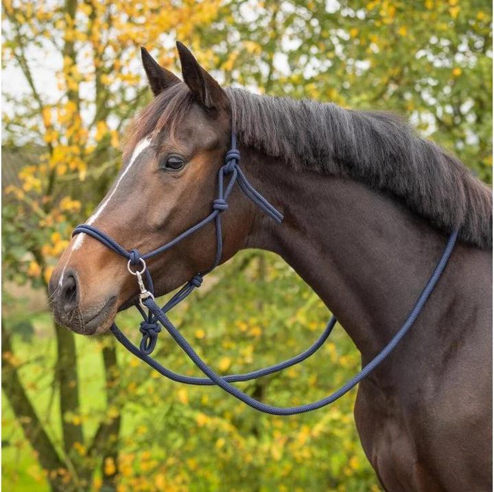 Actual product image Qhp Rope halter with reins for horse