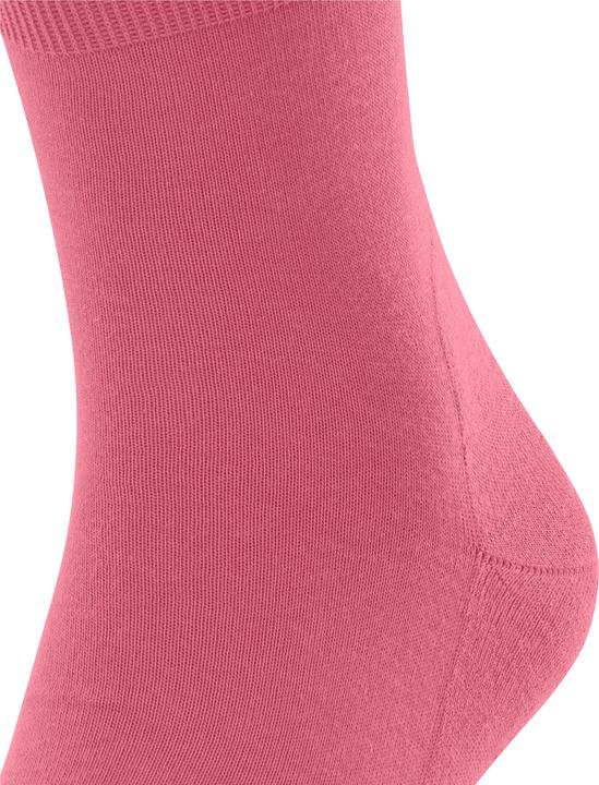 Produktbild Falke Run Baumwollsocken (Einzelpack, 42 - 43)