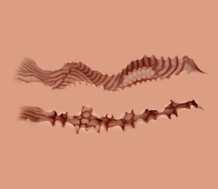 Actual product image Naked Factory Fantasy Girl Scarlet