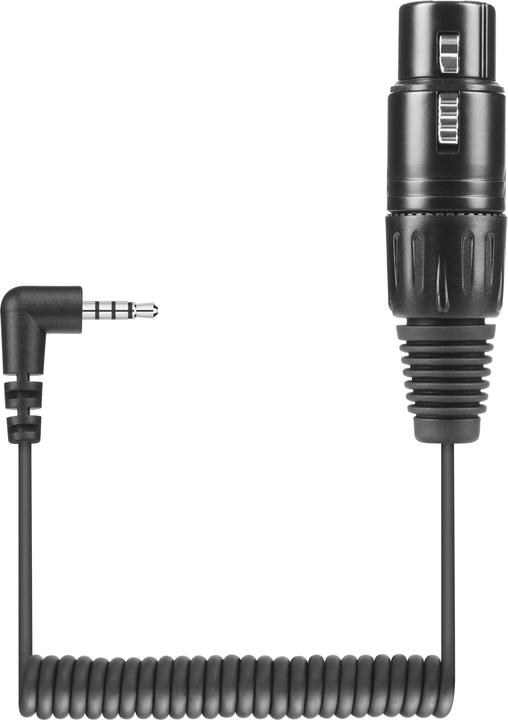 Produktbild Sennheiser KA 600 i Audio-Kabel XLR (3-pin) (0.40 m)
