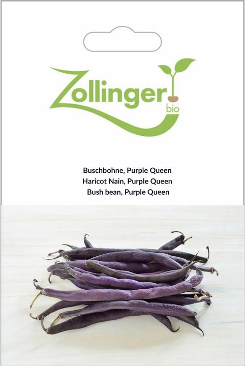 Produktbild Zollinger Bio Buschbohne, Purple Queen