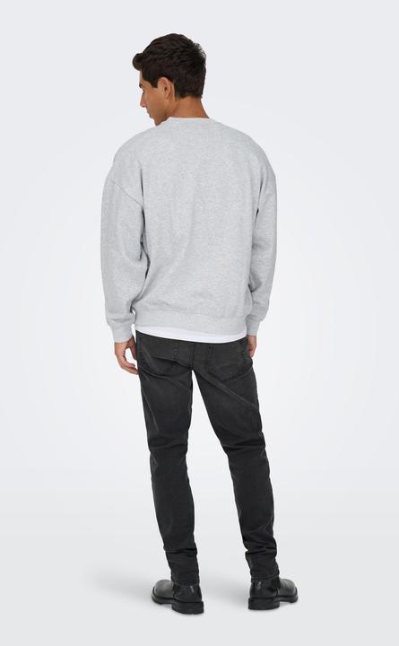 Actual product image Only & Sons Onsturner Life Vtg Crew Neck Sweat Noos (L)