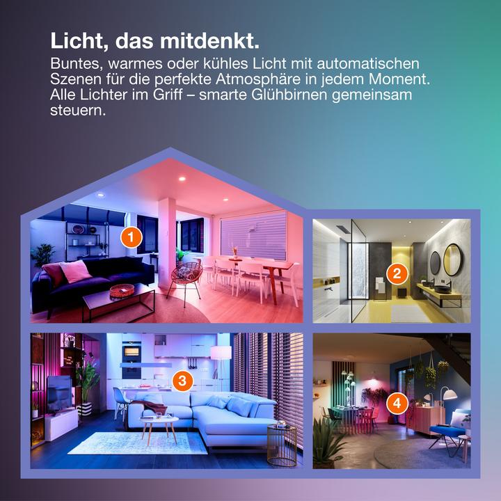 Immagine prodotto Ledvance SMART+ MATTER FILAMENT GLOBE MULTICOLOR 4.8W 827...865 Multicolore E27 (E27, 470 lm, 1 x)